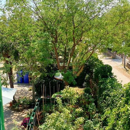 Apartmani Paron Sime Seline Kültér fotó
